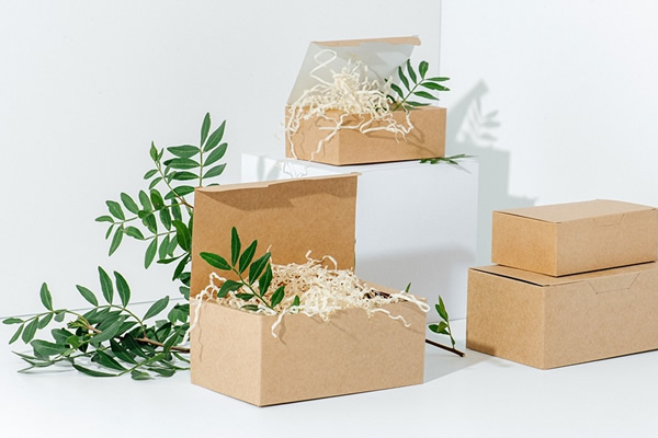 Best Sustainable Packaging Innovations